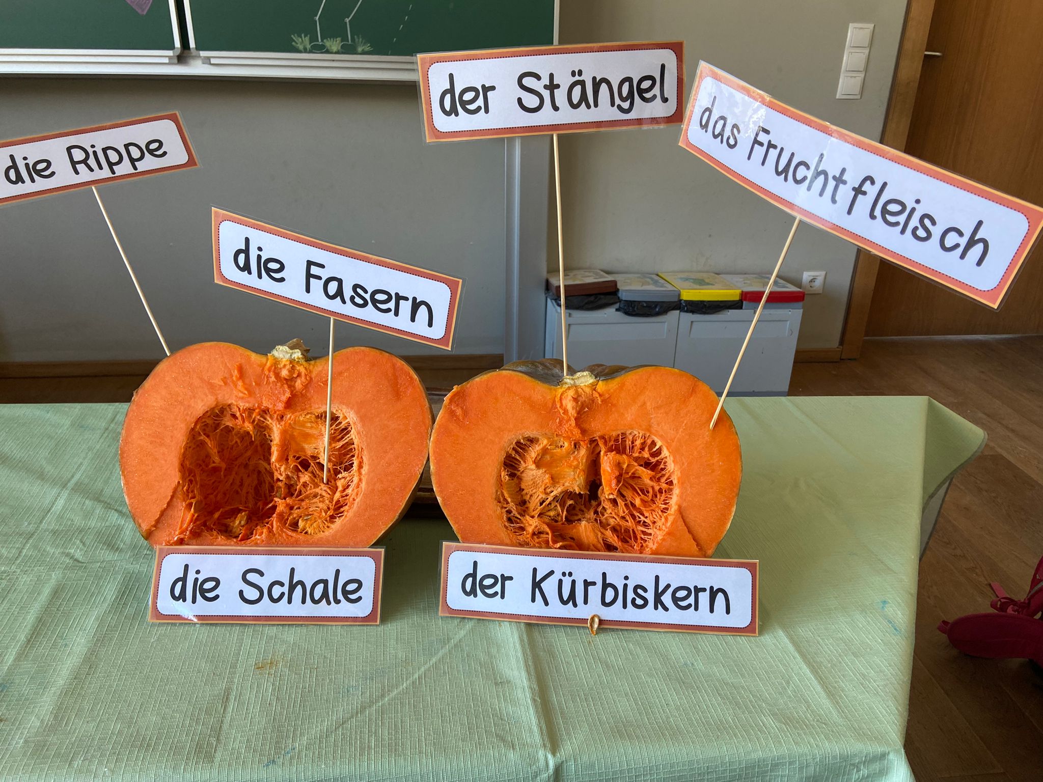 2b Rund um den Kürbis